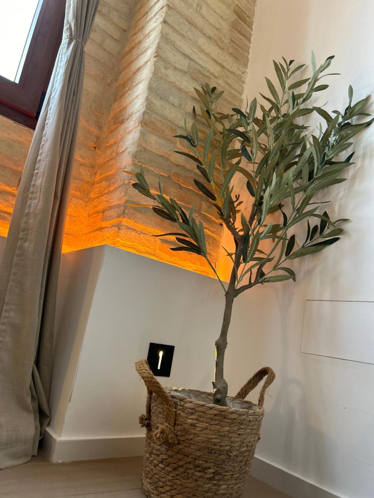 Apartments & Boutique Meraki Ontinyent Dış mekan fotoğraf